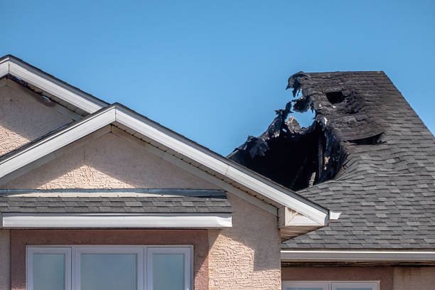 Top rated local Odor Removal specialists in Glassboro, NJ
